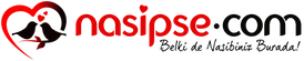 Nasipse Logo